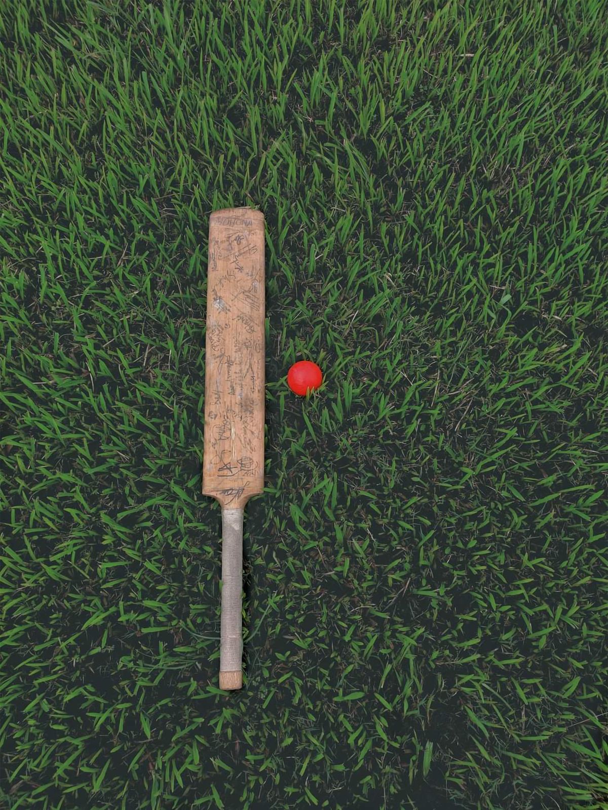 Cricket bat and red ball lying on green grass