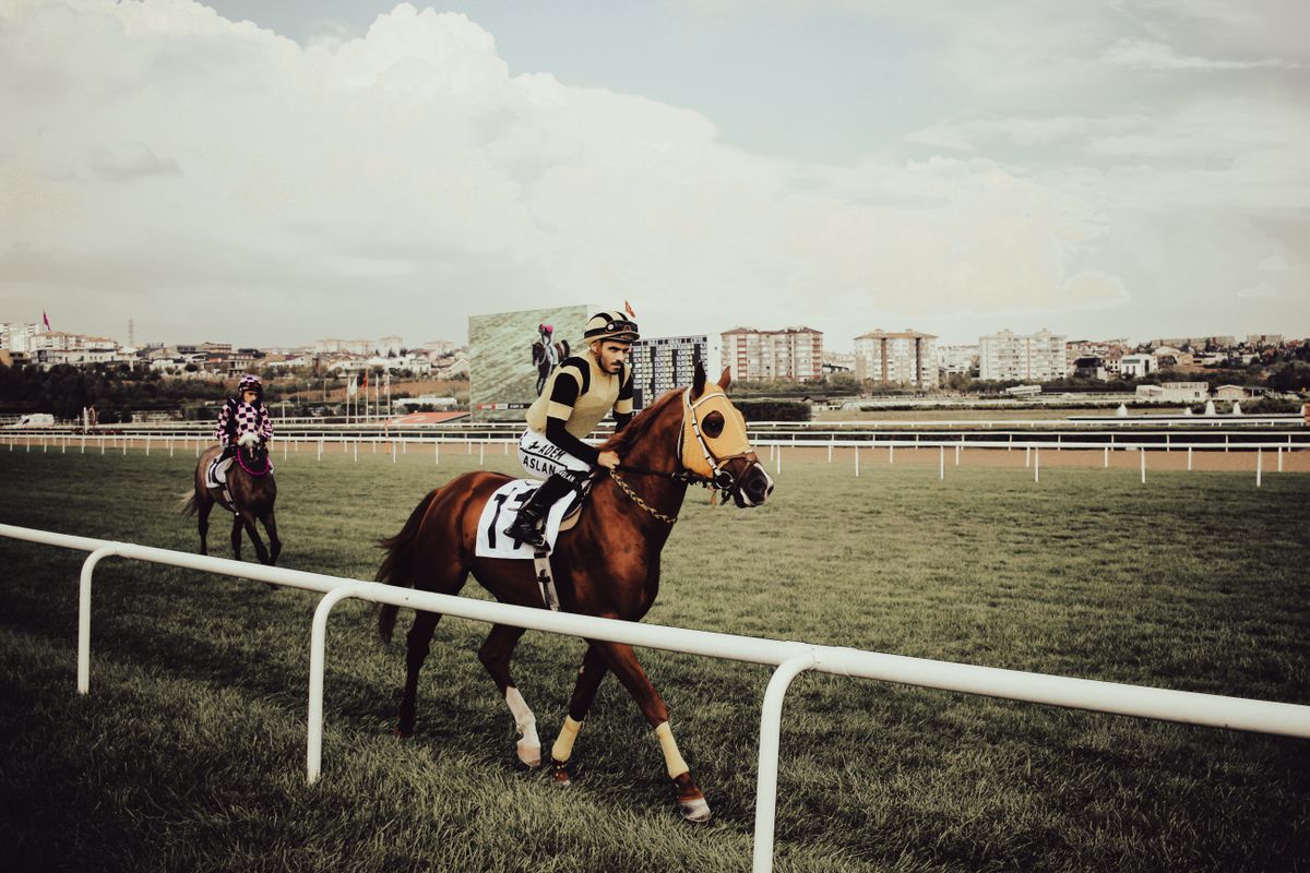 Jockeys riding horses competitively on a bright day race track