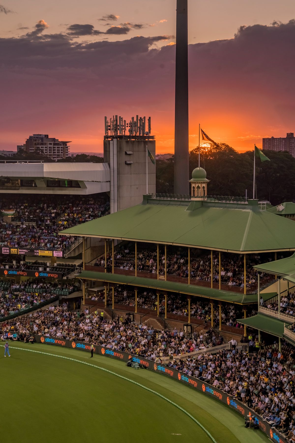 A cricket batter mid-shot under floodlights with a stadium crowd blurred behind him