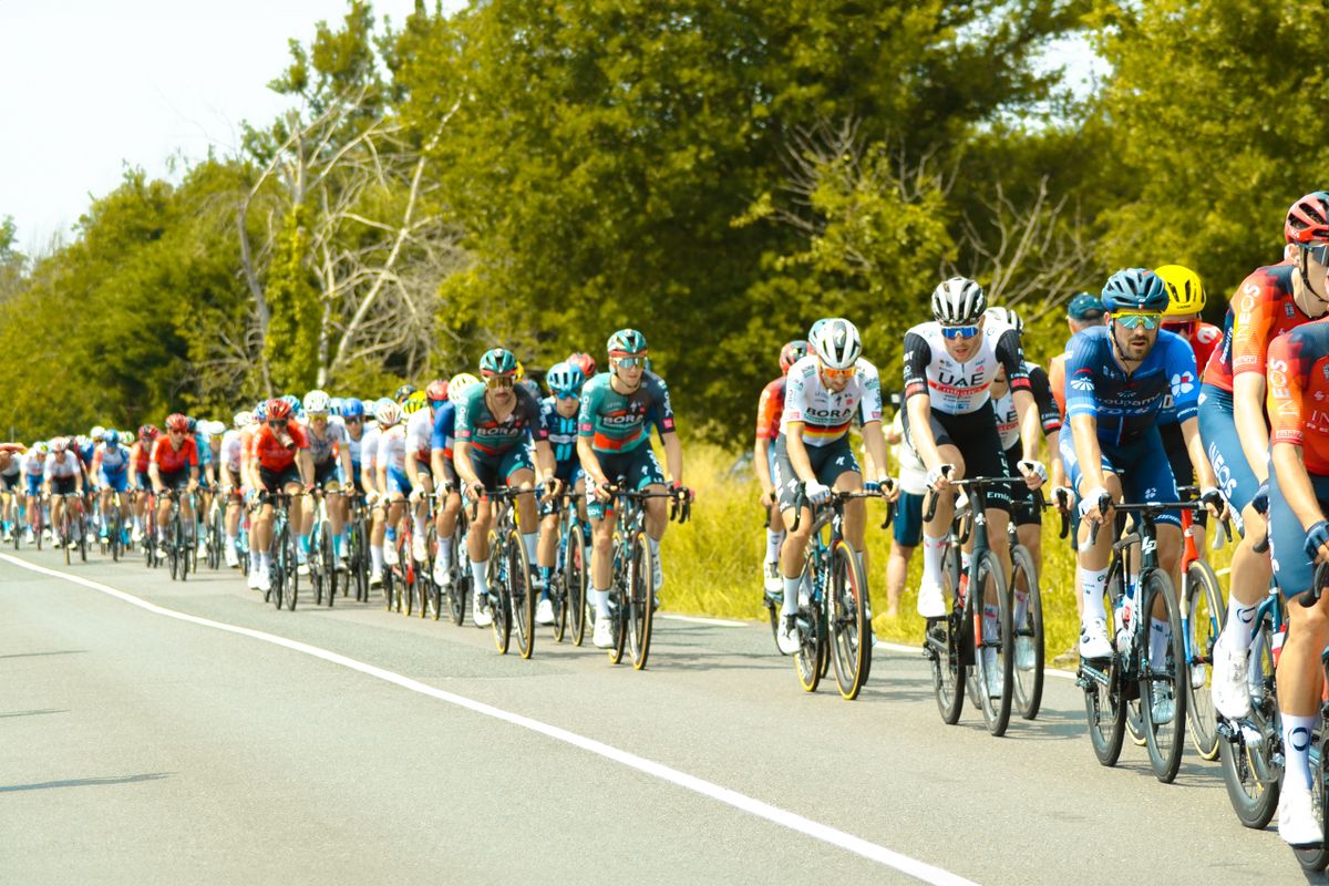Cyclists riding together in a road race peloton