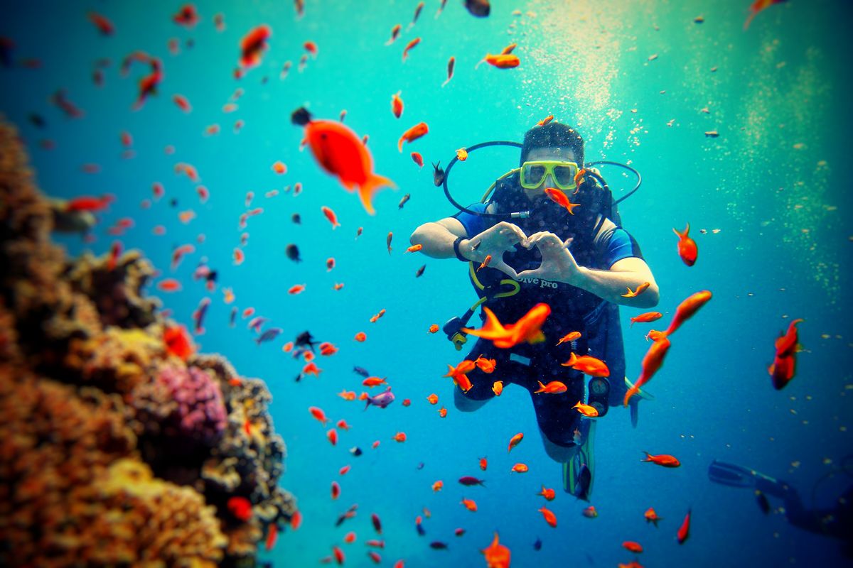 A scuba diver swimming through a coral reef surrounded by orange fish