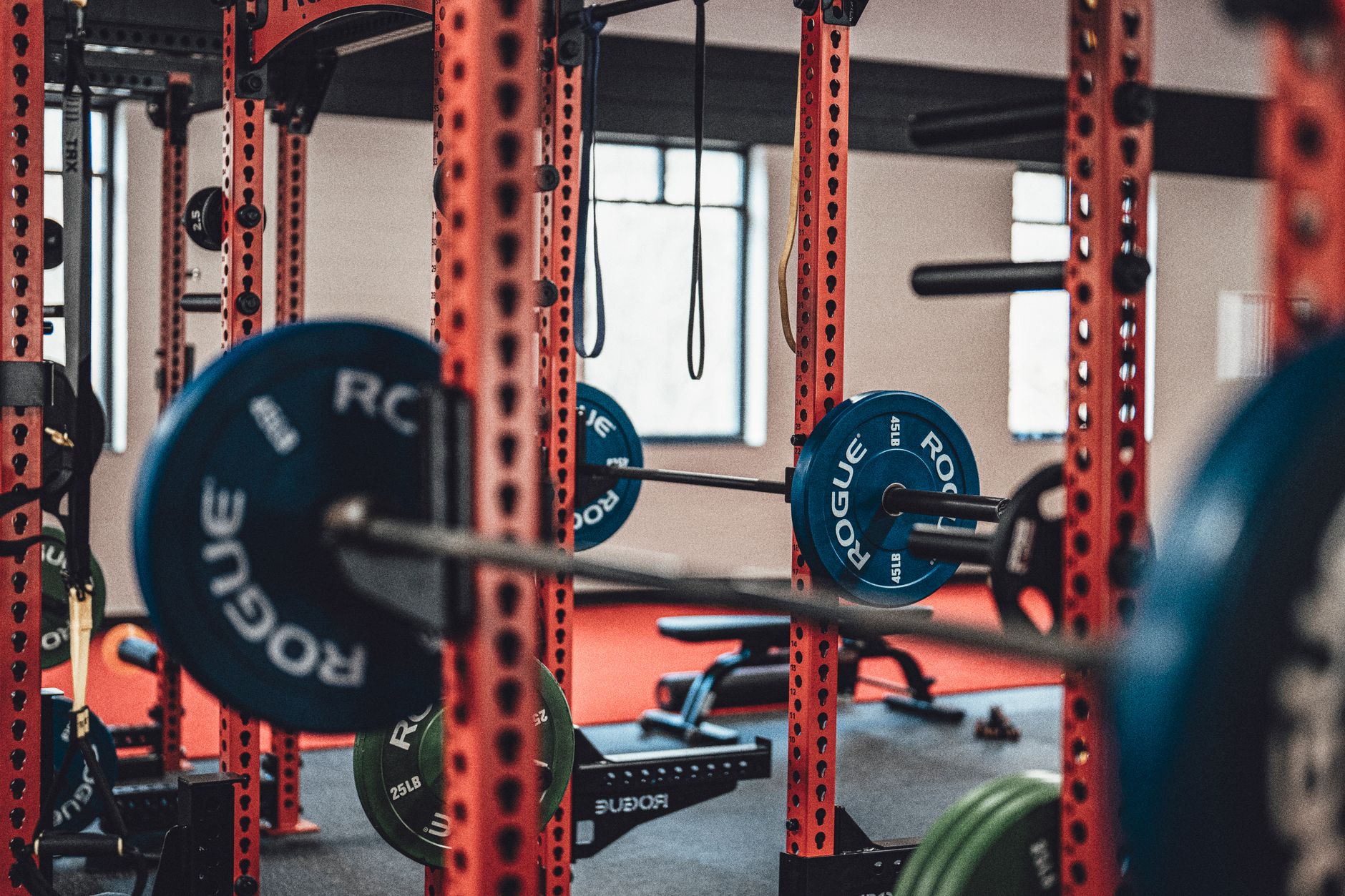 Close-up view of gym equipment with barbells and weight plates, perfect for strength training enthusiasts